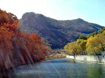 管家婆黑白马报图库，邪君都市行